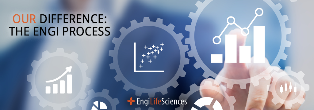 What does the EngiLifeSciences process look like?