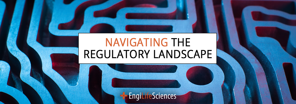 Navigating the Regulatory Landscape
