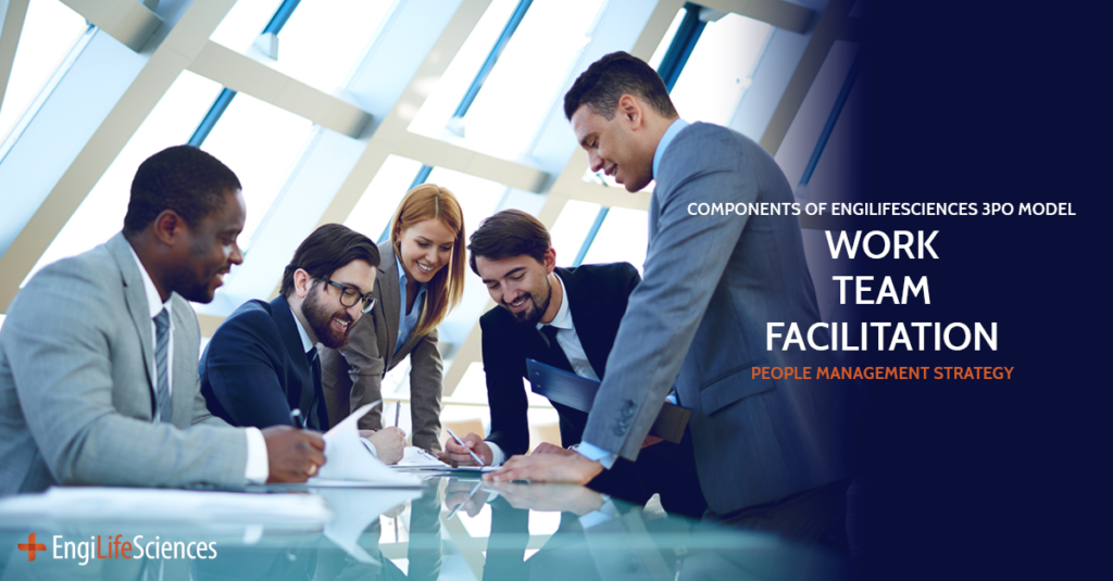 Work Team Facilitation